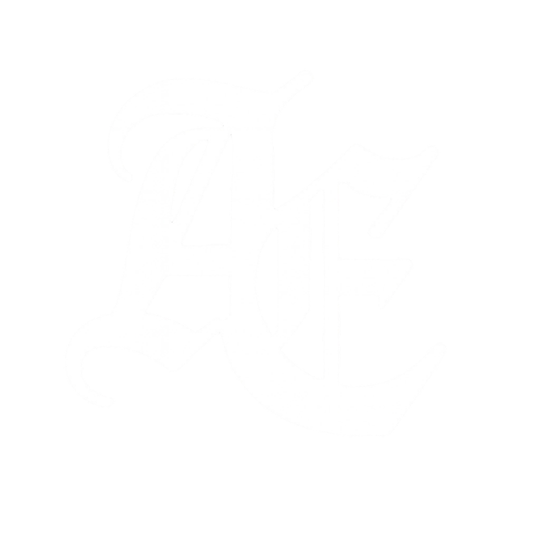 Alternativenergy.coM Logo