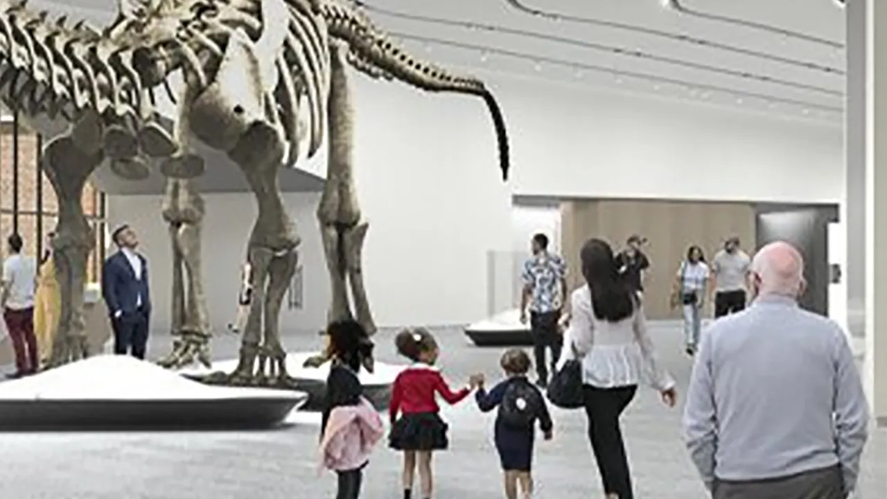 Edward Skeletrix - Museum Music